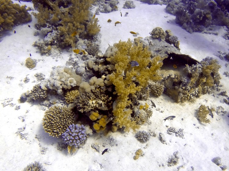 DCIM100GOPROGOPR0806.